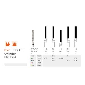 Diamond Dental Burs(C837)