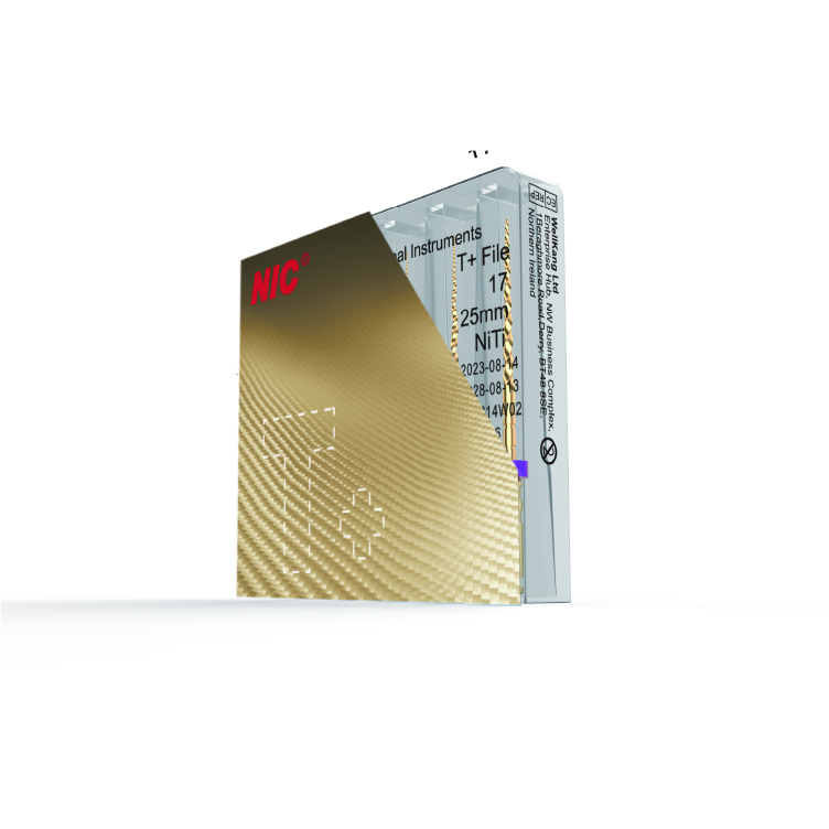 T+File